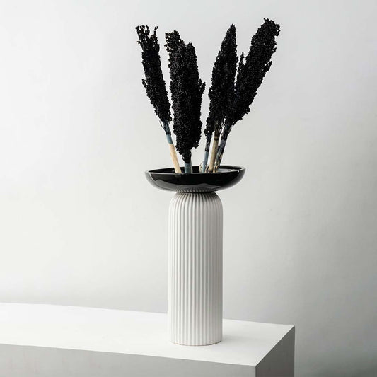 Black sorghum dried grass stems on white background highlighting natural texture bold tone and decorative appeal for vases and interior styling.