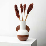 Sorghum Dried Grass - Brown