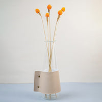 Bright orange dried flower stem styled in a warm modern room adding a bold natural accent to contemporary home decor.