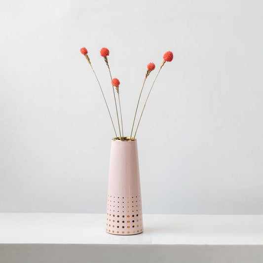 Bright coral dried flower stem styled in a warm modern room adding a bold natural accent to contemporary home decor.