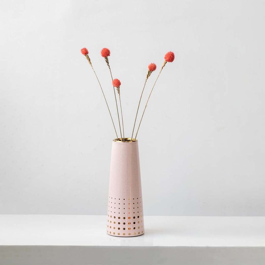 Bright coral dried flower stem styled in a warm modern room adding a bold natural accent to contemporary home decor.