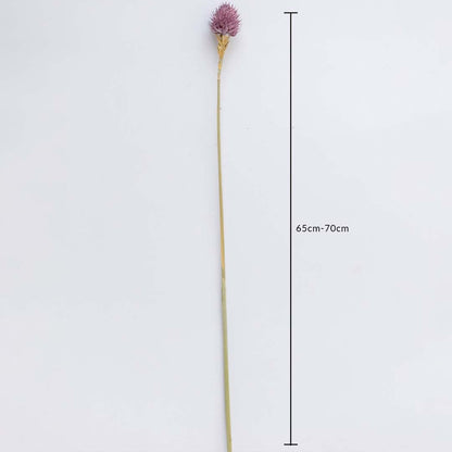 Purple dried flower stem on a white background with 65 to 70cm height shown for natural decorative home use.