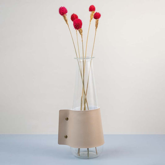 Bright red dried flower stem styled in a warm modern room adding a bold natural accent to contemporary home decor.