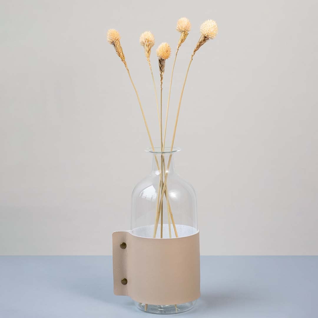 Soft beige dried flower stem styled in a warm modern room adding a gentle natural accent to contemporary home decor.