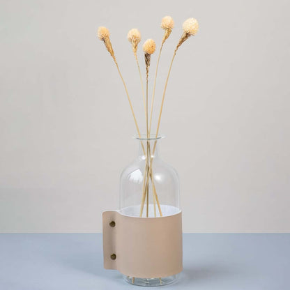 Soft beige dried flower stem styled in a warm modern room adding a gentle natural accent to contemporary home decor.