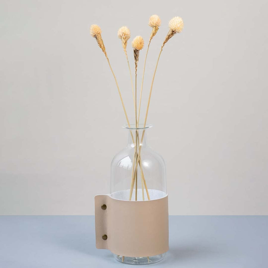 Soft beige dried flower stem styled in a warm modern room adding a gentle natural accent to contemporary home decor.