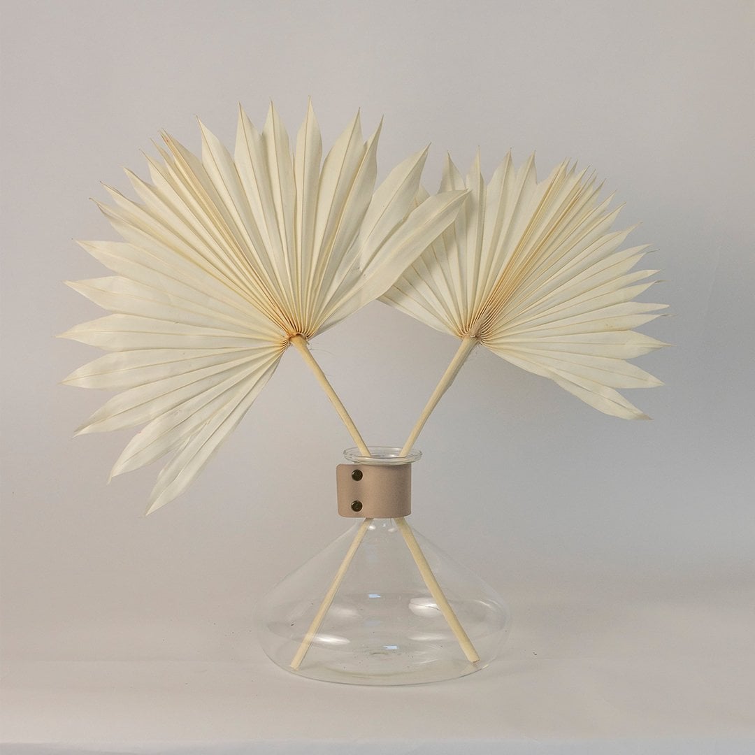 Ivory dried palm leaves styled in a glass vase bringing a soft organic charm to modern home decor.