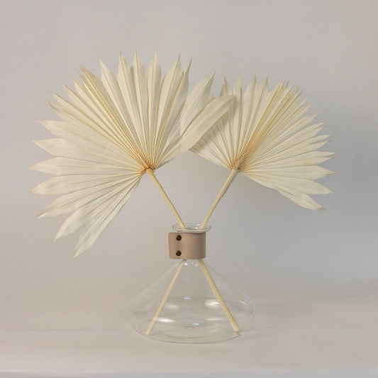 Ivory dried palm leaves styled in a glass vase bringing a soft organic charm to modern home decor.