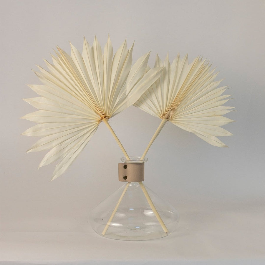 Ivory dried palm leaves styled in a glass vase bringing a soft organic charm to modern home decor.