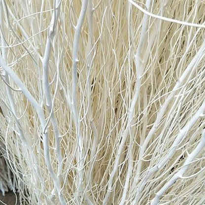 Closeup view of white dried branches showing natural texture and smooth finish for modern home and vase decoration.