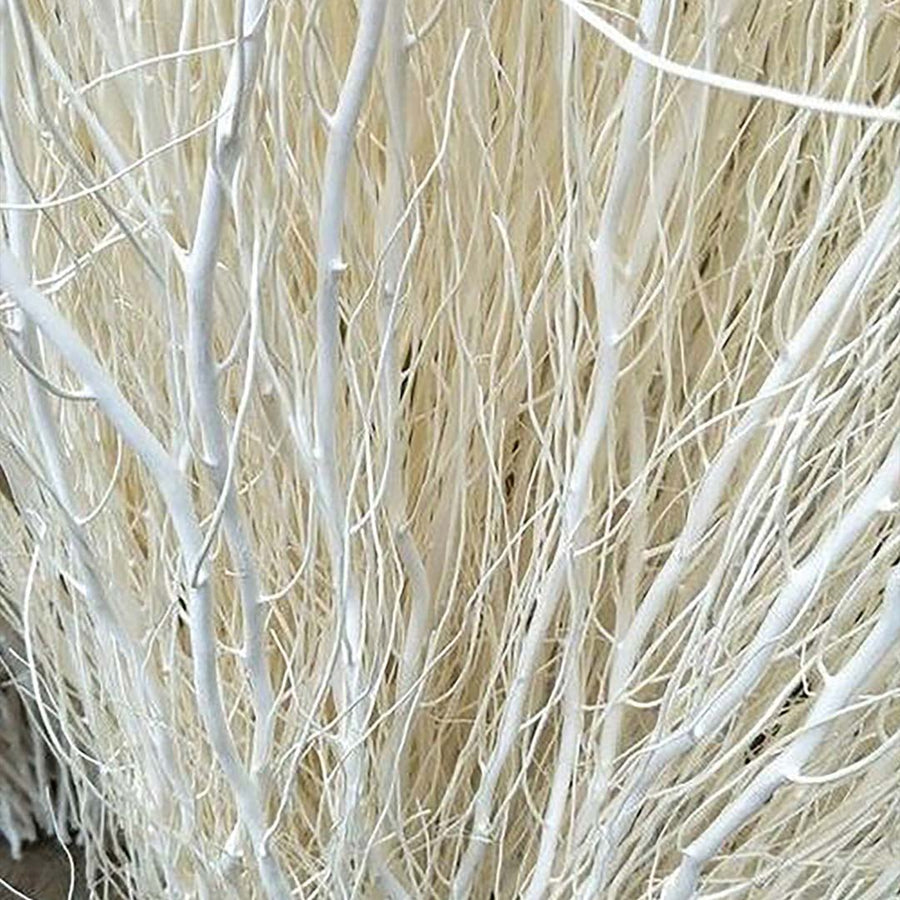 Closeup view of white dried branches showing natural texture and smooth finish for modern home and vase decoration.