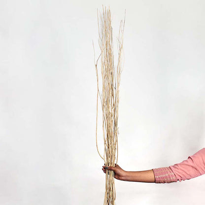 Hand holding a tall bundle of natural beige dried decorative willow twigs for minimalist bohemian floor vase decoration.