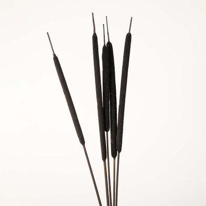 Detailed view of black bulrush stem highlighting smooth texture and natural earthy tone for decorative styling.