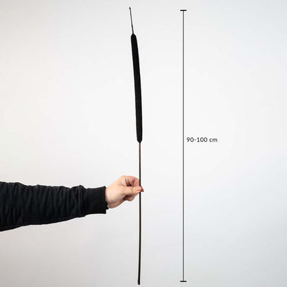 Black bulrush stem measuring 90–100 cm long is ideal for tall vases pampas arrangements and home decor styling.