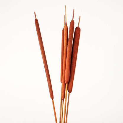 Detailed look at rust cattail stalk highlighting natural texture for elegant home decoration.