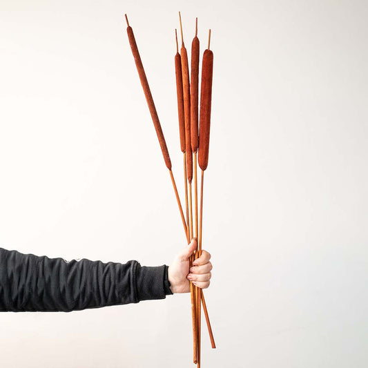 Typha Grass Brown Set of 5