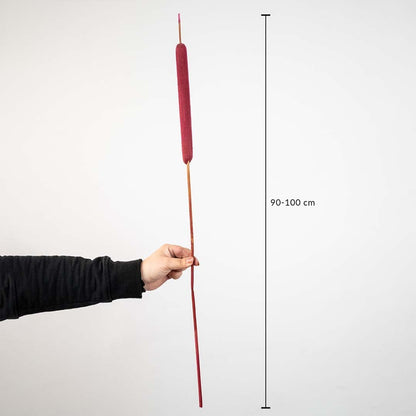 Red cattail dried flower stem measuring 90–100 cm length shown with scale – tall natural pampas style grass decor.