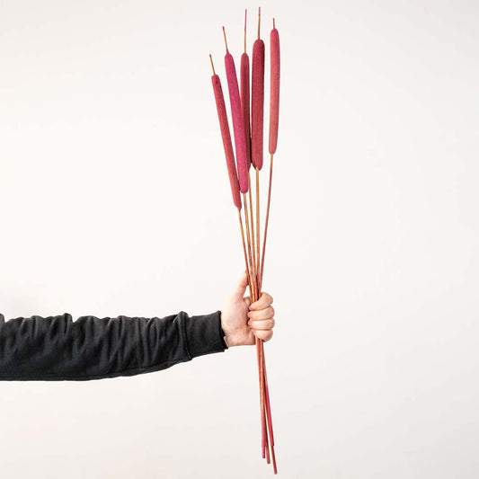 Typha Grass Pink Set of 5