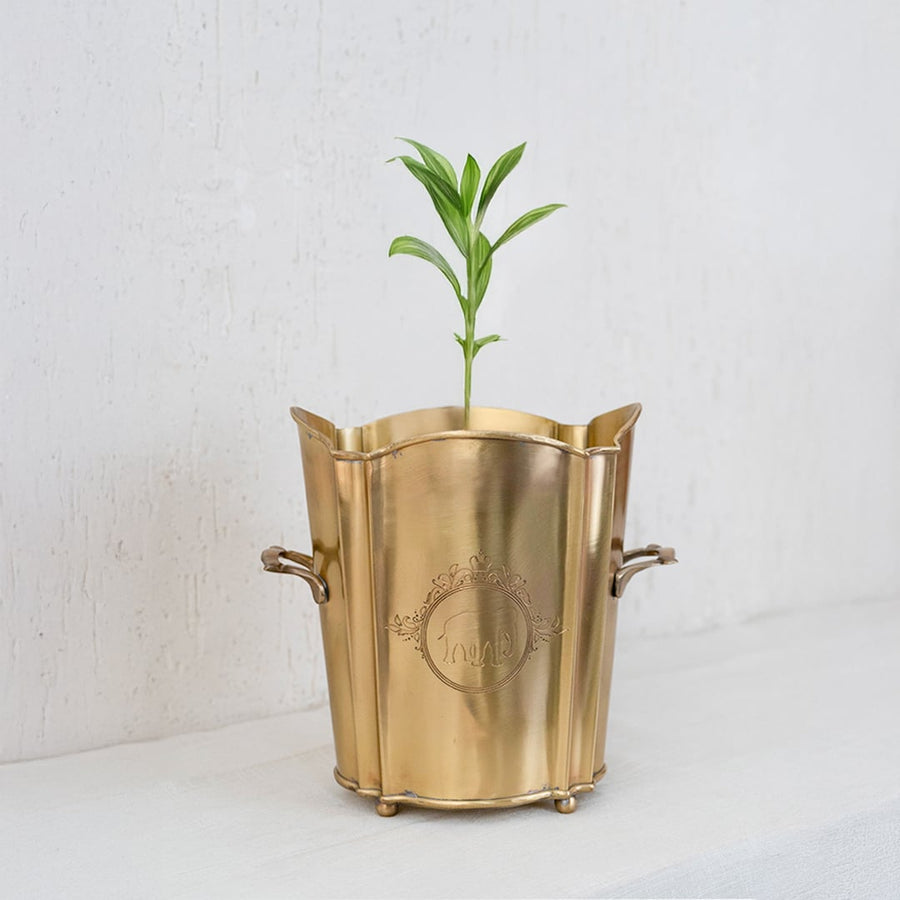 Main image of gold decorative planter with curved rim engraved emblem and side handles placed upright for full view.