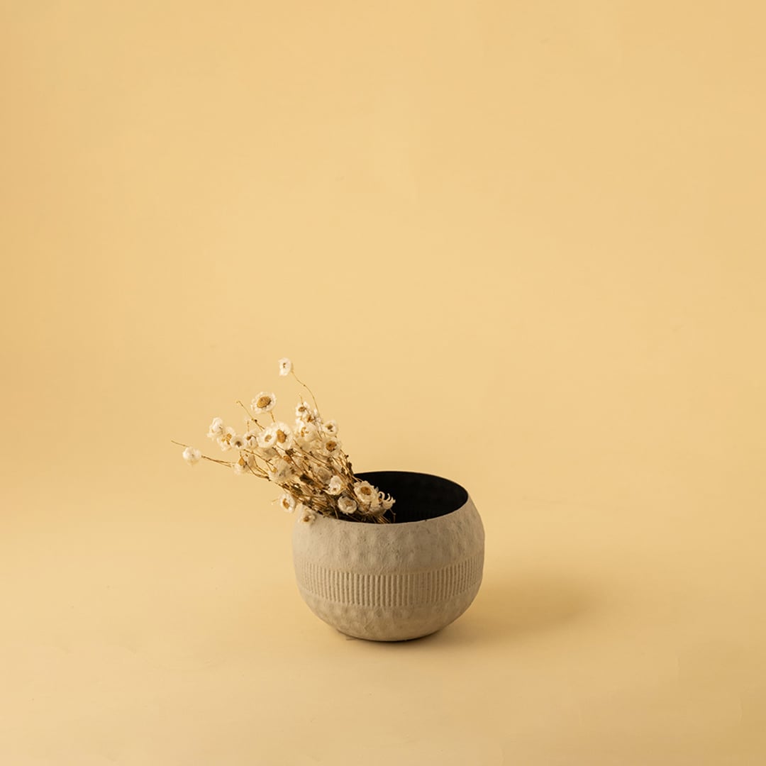 Small cream round textured pot with matte black interior styled in a warm modern home setting adding natural minimal decor charm.