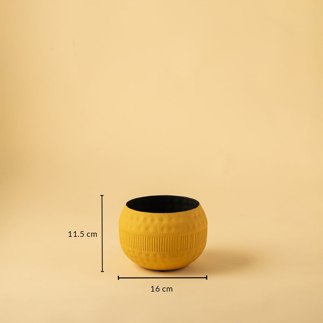 Yellow textured pot with black interior shown with 16 cm width and 11.5 cm height for modern decorative home styling.