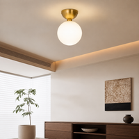 Modern ceiling light with gold base and frosted glass globe styled in living room for elegant home lighting.