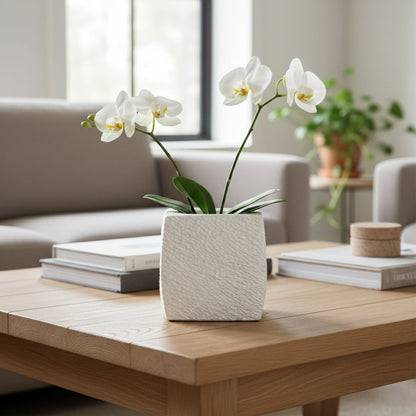 White textured ceramic planter styled on living room floor modern decorative ceramic accent for console corner styling home.