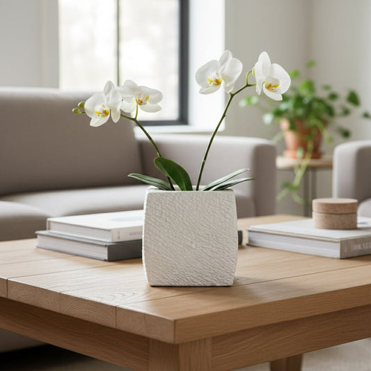 White textured ceramic planter styled on living room floor modern decorative ceramic accent for console corner styling home.