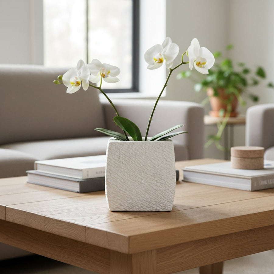 White textured ceramic planter styled on living room floor modern decorative ceramic accent for console corner styling home.