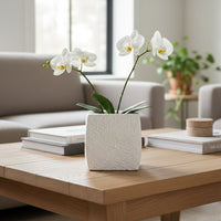 White textured ceramic planter styled on living room floor modern decorative ceramic accent for console corner styling home.