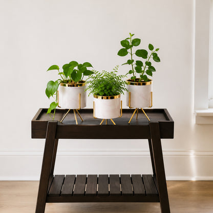 Three potted green plants in white cylindrical pots with gold trim and gold metal legs, displayed on a dark wood side table against a white wall.