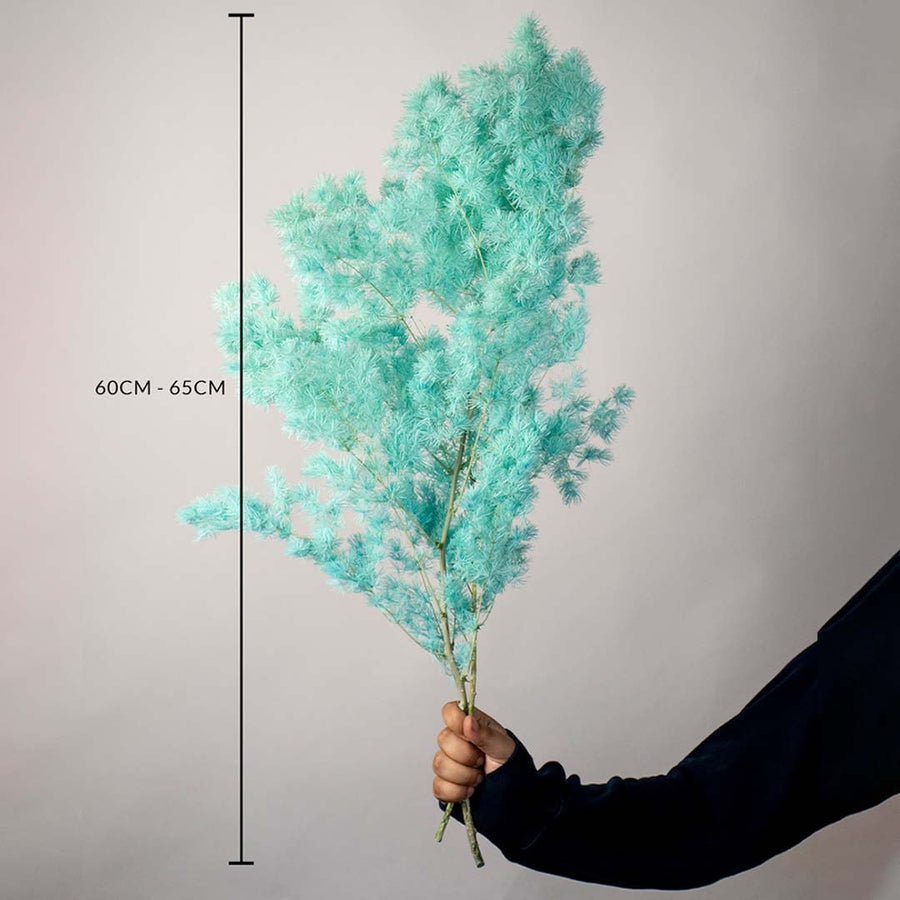 Turquoise preserved foliage bouquet 60-65 cm preserved stems lifestyle decor shown with size on grey background.