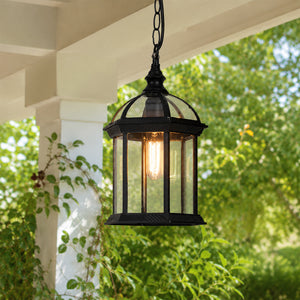 Calvino Arched Outdoor Hanging Lamp Clear Glass - Black