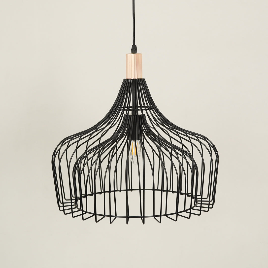 Black metal cage pendant light with sculptural frame for contemporary home interiors.
