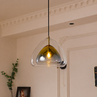 A modern pendant light with a clear glass dome shade and a reflective gold interior, suspended by a black cord in an elegant cream-colored room with decorative molding.
