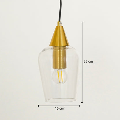 Clear Gold Glass & Metal Pendant Light
