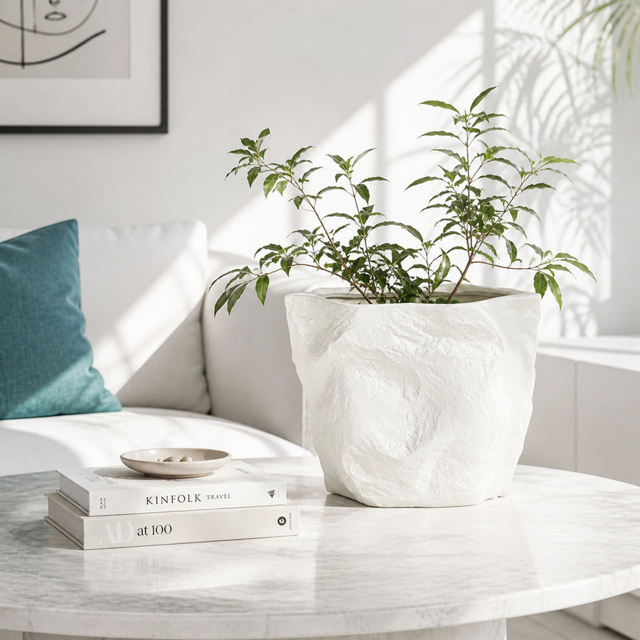 White textured ceramic planter bowl with green plant placed on marble table in modern living room decor.