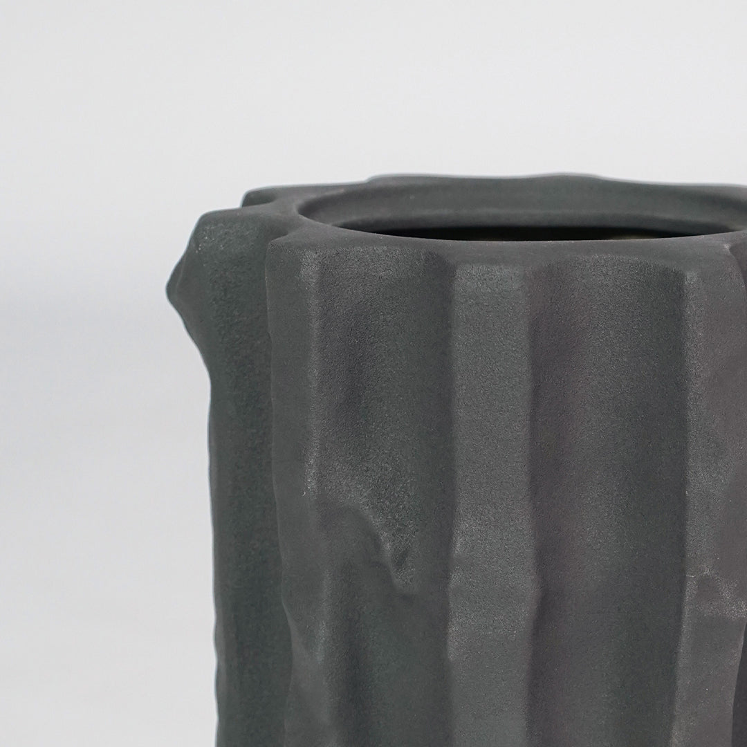Closeup image of black ceramic planter vase for modern console table decor with artistic matte texture styling.