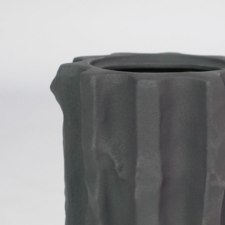Closeup image of black ceramic planter vase for modern console table decor with artistic matte texture styling.