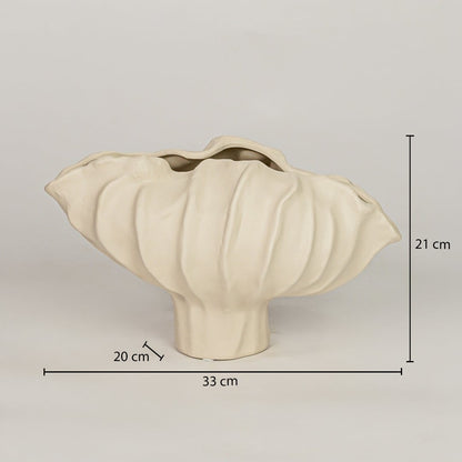 coral mollusk ceramic bowl off white dimensions