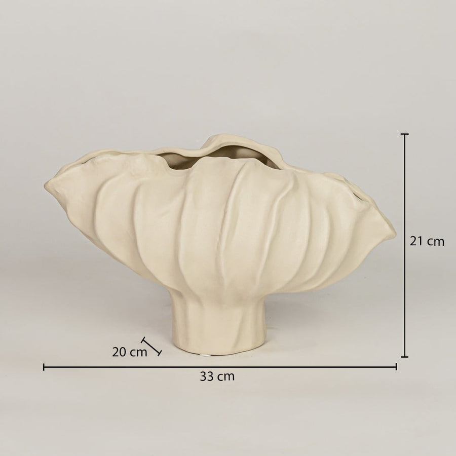 coral mollusk ceramic bowl off white dimensions