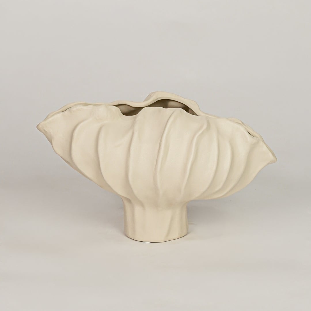 coral mollusk ceramic bowl off white white background