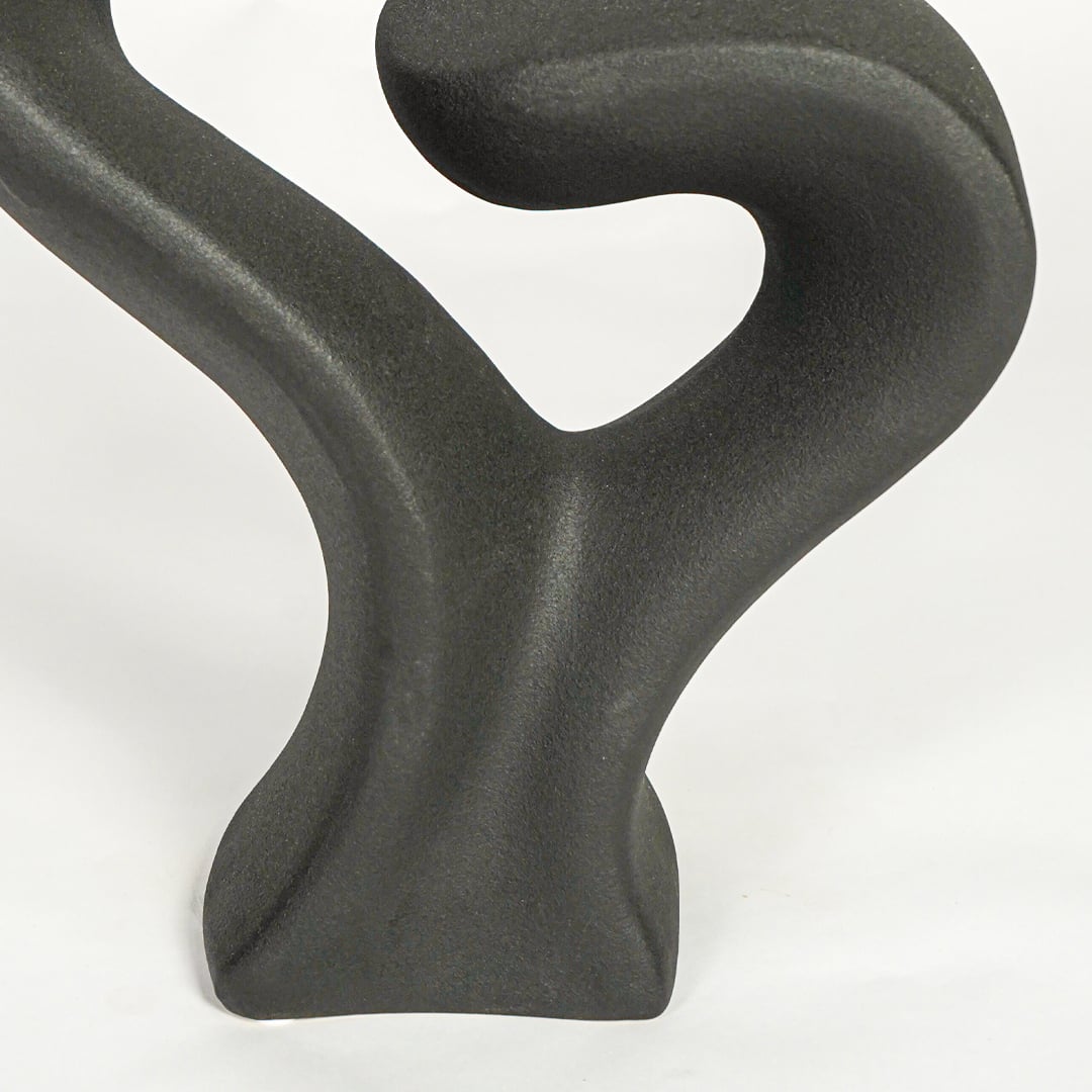 Close up view black abstract sculpture showing smooth curved form matte finish modern artistic decor accent.