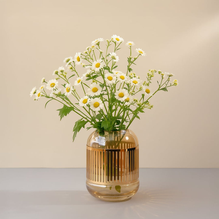 Glass vase with white daisy flowers styled on table creating fresh natural look and soft elegant accent for home Decor.
