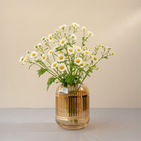 Glass vase with white daisy flowers styled on table creating fresh natural look and soft elegant accent for home Decor.