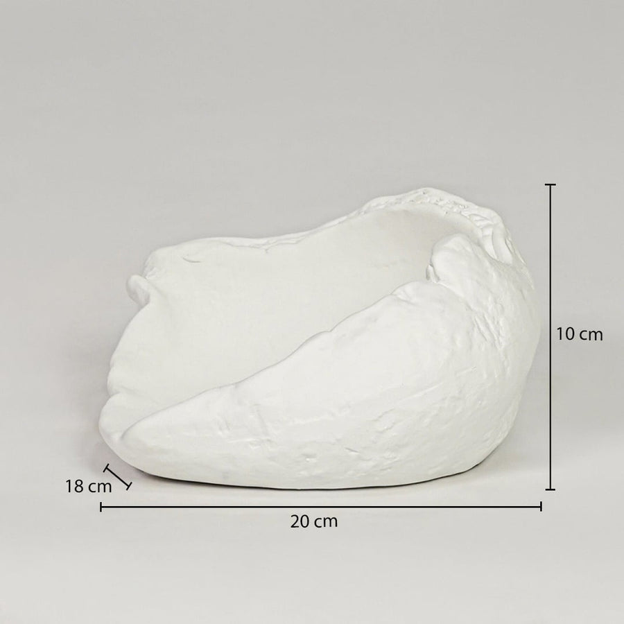 White ceramic decorative bowl size 10 cm height 20 cm width 16 cm depth modern centerpiece for table styling.