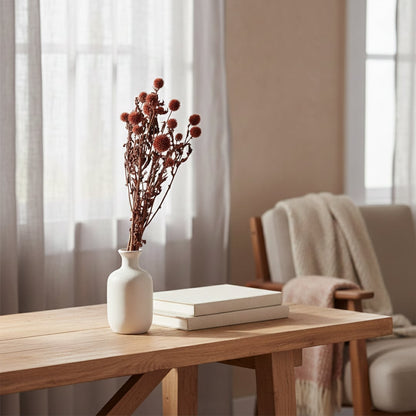 dried flower globe thistle red main lifestyle