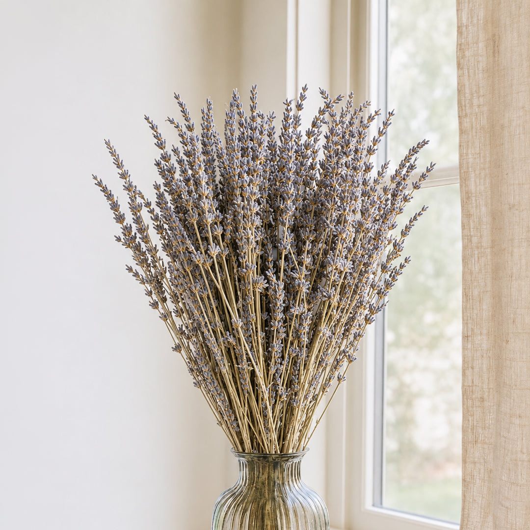 Dried Lavender - Dried Flower