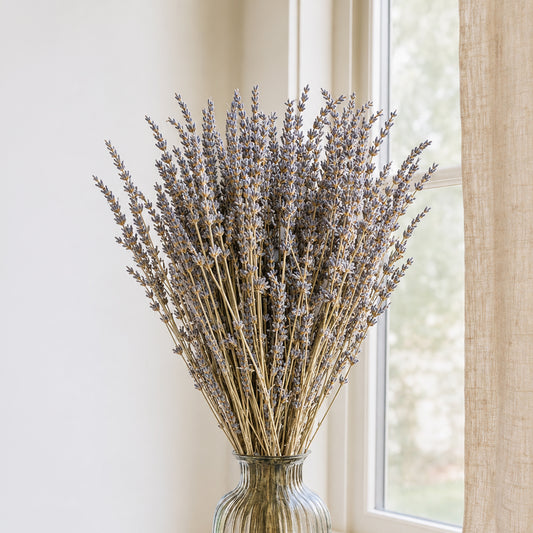 Dried Lavender - Dried Flower