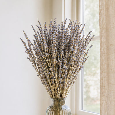 Dried Lavender - Dried Flower